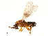 ( - CCDB-34069-D09)  @11 [ ] CreativeCommons - Attribution (2019) CBG Photography Group Smithsonian Institution
