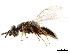  ( - CCDB-34069-D11)  @11 [ ] CreativeCommons - Attribution (2019) CBG Photography Group Smithsonian Institution