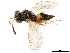  ( - CCDB-34069-E06)  @11 [ ] CreativeCommons - Attribution (2019) CBG Photography Group Smithsonian Institution