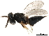  ( - CCDB-34069-G09)  @11 [ ] CreativeCommons - Attribution (2019) CBG Photography Group Smithsonian Institution