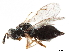  ( - CCDB-34072-B12)  @11 [ ] CreativeCommons - Attribution (2019) CBG Photography Group Smithsonian Institution