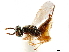  ( - CCDB-34072-C12)  @11 [ ] CreativeCommons - Attribution (2019) CBG Photography Group Smithsonian Institution