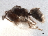  ( - CCDB-34072-F04)  @11 [ ] CreativeCommons - Attribution (2019) CBG Photography Group Smithsonian Institution
