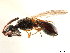  ( - CCDB-34072-F07)  @11 [ ] CreativeCommons - Attribution (2019) CBG Photography Group Smithsonian Institution