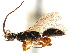  ( - CCDB-34077-A10)  @11 [ ] CreativeCommons - Attribution (2019) CBG Photography Group Smithsonian Institution