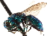  ( - CCDB-34077-C01)  @11 [ ] CreativeCommons - Attribution (2019) CBG Photography Group Smithsonian Institution