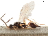  ( - CCDB-34077-D04)  @12 [ ] CreativeCommons - Attribution (2019) CBG Photography Group Smithsonian Institution