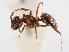  ( - CCDB-34077-F08)  @11 [ ] CreativeCommons - Attribution (2019) CBG Photography Group Smithsonian Institution