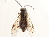 ( - CCDB-34078-C06)  @12 [ ] CreativeCommons - Attribution (2019) CBG Photography Group Smithsonian Institution