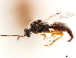  ( - CCDB-34079-A02)  @11 [ ] CreativeCommons - Attribution (2019) CBG Photography Group Smithsonian Institution