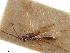  ( - CCDB-34079-A04)  @11 [ ] CreativeCommons - Attribution (2019) CBG Photography Group Smithsonian Institution