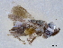 ( - CCDB-34079-D07)  @11 [ ] CreativeCommons - Attribution (2019) CBG Photography Group Smithsonian Institution