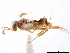  ( - CCDB-34079-E01)  @11 [ ] CreativeCommons - Attribution (2019) CBG Photography Group Smithsonian Institution