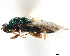  ( - CCDB-34079-E12)  @11 [ ] CreativeCommons - Attribution (2019) CBG Photography Group Smithsonian Institution