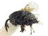  ( - CCDB-34079-H01)  @11 [ ] CreativeCommons - Attribution (2019) CBG Photography Group Smithsonian Institution