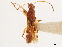  ( - CCDB-34080-G06)  @11 [ ] CreativeCommons - Attribution (2019) CBG Photography Group Smithsonian Institution