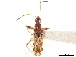  ( - CCDB-34080-G07)  @11 [ ] CreativeCommons - Attribution (2019) CBG Photography Group Smithsonian Institution