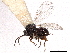  ( - CCDB-34780-A10)  @11 [ ] CreativeCommons - Attribution (2019) CBG Photography Group Smithsonian Institution