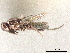 ( - CCDB-34780-B09)  @11 [ ] CreativeCommons - Attribution (2019) CBG Photography Group Smithsonian Institution