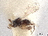  ( - CCDB-34780-B11)  @11 [ ] CreativeCommons - Attribution (2019) CBG Photography Group Smithsonian Institution