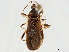  ( - CCDB-34771-G07)  @11 [ ] CreativeCommons - Attribution (2019) CBG Photography Group Smithsonian Institution