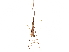  (Pleias - CCDB-34771-G11)  @11 [ ] CreativeCommons - Attribution (2019) CBG Photography Group Smithsonian Institution