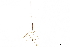  ( - CCDB-34771-H05)  @11 [ ] CreativeCommons - Attribution (2019) CBG Photography Group Smithsonian Institution