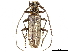  ( - CCDB-34772-H04)  @11 [ ] CreativeCommons - Attribution (2019) CBG Photography Group Smithsonian Institution