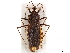  ( - CCDB-34774-A10)  @11 [ ] CreativeCommons - Attribution (2019) CBG Photography Group Smithsonian Institution