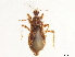  ( - CCDB-34774-B06)  @11 [ ] CreativeCommons - Attribution (2019) CBG Photography Group Smithsonian Institution