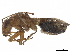  ( - CCDB-34776-F07)  @11 [ ] CreativeCommons - Attribution (2019) CBG Photography Group Smithsonian Institution