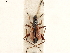  ( - CCDB-34776-G11)  @11 [ ] CreativeCommons - Attribution (2019) CBG Photography Group Smithsonian Institution