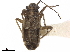  ( - CCDB-34777-D07)  @11 [ ] CreativeCommons - Attribution (2019) CBG Photography Group Smithsonian Institution