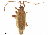  ( - CCDB-34777-E09)  @11 [ ] CreativeCommons - Attribution (2019) CBG Photography Group Smithsonian Institution