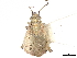  ( - CCDB-34779-C07)  @11 [ ] CreativeCommons - Attribution (2019) CBG Photography Group Smithsonian Institution