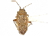  ( - CCDB-34779-C10)  @11 [ ] CreativeCommons - Attribution (2019) CBG Photography Group Smithsonian Institution