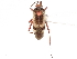  ( - CCDB-34779-F12)  @11 [ ] CreativeCommons - Attribution (2019) CBG Photography Group Smithsonian Institution