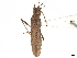  ( - CCDB-34779-G10)  @11 [ ] CreativeCommons - Attribution (2019) CBG Photography Group Smithsonian Institution