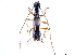  (Gnomidolon grantsaui - CCDB-34781-B12)  @11 [ ] CreativeCommons - Attribution (2019) CBG Photography Group Smithsonian Institution