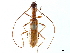  ( - CCDB-34781-C04)  @11 [ ] CreativeCommons - Attribution (2019) CBG Photography Group Smithsonian Institution