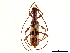  ( - CCDB-34781-D01)  @11 [ ] CreativeCommons - Attribution (2019) CBG Photography Group Smithsonian Institution