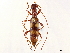  ( - CCDB-34781-D02)  @11 [ ] CreativeCommons - Attribution (2019) CBG Photography Group Smithsonian Institution