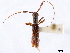  ( - CCDB-34781-D08)  @11 [ ] CreativeCommons - Attribution (2019) CBG Photography Group Smithsonian Institution