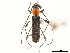  ( - CCDB-34784-F04)  @11 [ ] CreativeCommons - Attribution (2019) CBG Photography Group Smithsonian Institution