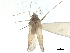  ( - CCDB-35895-D12)  @11 [ ] CreativeCommons - Attribution (2019) CBG Photography Group Smithsonian Institution
