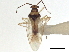  ( - CCDB-35895-E05)  @11 [ ] CreativeCommons - Attribution (2019) CBG Photography Group Smithsonian Institution