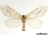  ( - CCDB-35899-A09)  @11 [ ] CreativeCommons - Attribution (2020) CBG Photography Group Smithsonian Institution