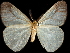  ( - CCDB-35902-F03)  @11 [ ] CreativeCommons - Attribution (2020) CBG Photography Group Smithsonian Institution