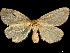  ( - CCDB-35902-F07)  @11 [ ] CreativeCommons - Attribution (2020) CBG Photography Group Smithsonian Institution