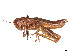  ( - CCDB-45160-G02)  @11 [ ] CreativeCommons - Attribution Share - Alike (2023) CBG Photography Group Centre for Biodiversity Genomics